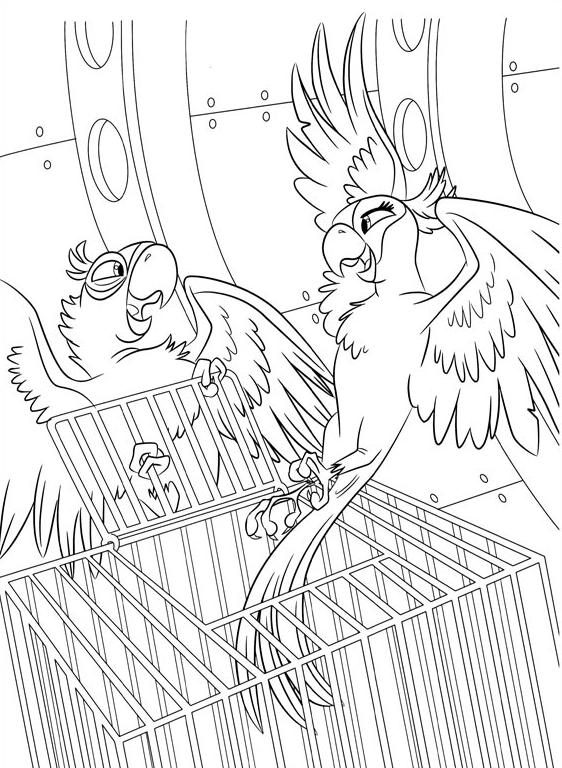 coloriage rio blu sauve perla